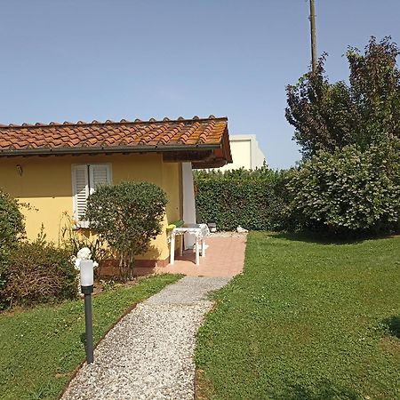 Piscina Privata Tiger Home, Toscana Capannori Extérieur photo