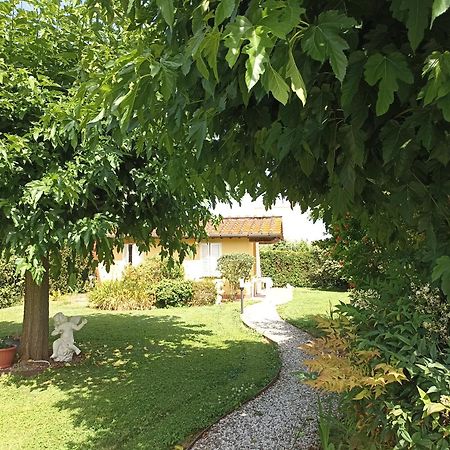 Piscina Privata Tiger Home, Toscana Capannori Extérieur photo