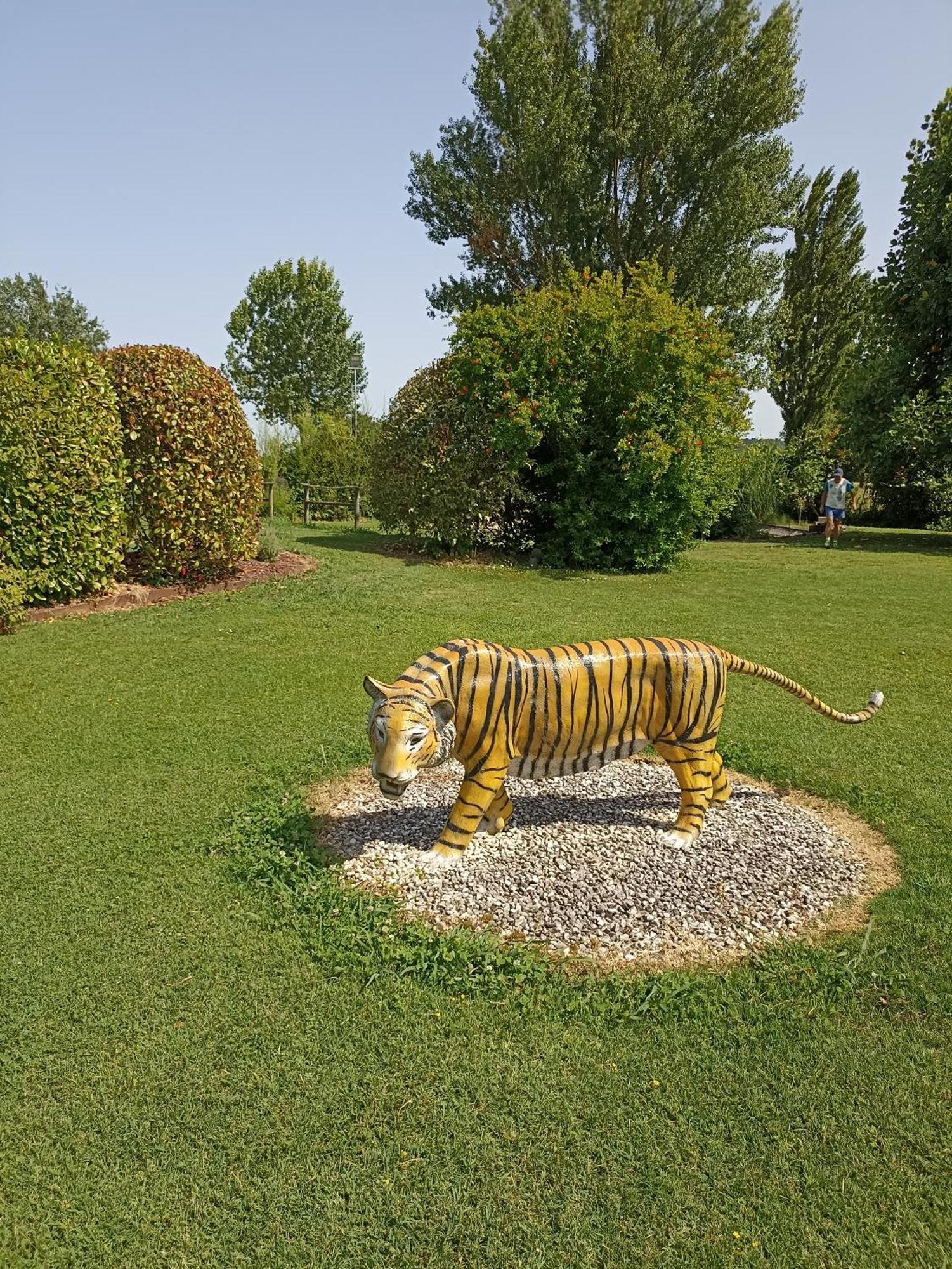 Piscina Privata Tiger Home, Toscana Capannori Extérieur photo